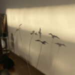 Casa Veiga / Casa Portufornia, Colares by Manuel Tainha, Rui Costa Martins (3776) Manuel Tainha and Rui Costa Martins' Casa Veiga / Casa Portufornia showcasing natural materials with a glass façade, light fixtures casting shadows, and design elements inspired by feathers and birds symbolizing pollinators in flight.