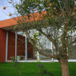 Atelier dos Remédios, Madalena Cardoso de Menezes, and Francisco Teixeira Bastos' 18 Red Architectural Townhouses, Lot 215, showcasing a series of modern red façades with integrated green backyards featuring citrus trees and shaded lawns.