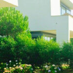 Alcino Soutinho’s 10 Architectural Villas, Lot 240, showcasing modern villas surrounded by lush green gardens with manicured lawns, evergreen shrubs, and landscaped hedges in a spring setting.