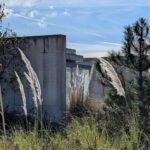 Alcino Soutinho’s 28 Unfinished Architectural Townhouses, Lot 288, showcasing a series of modern townhouses with exposed structural elements and surrounding grassy land lot with herbaceous plants.