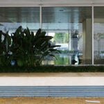 Alcino Soutinho’s Quinta das Sedas headquarters showcasing a glass façade, courtyard with palm trees and houseplants, shaded walkways, and integrated daylighting features.