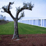 Nuno Graça Moura’s 30 Architectural "Bar Code 1" Townhouses, Lot 152, showcasing a modern townhouse complex with linear, barcode-inspired façades, large windows, and landscaped grassy lawns under daylight.