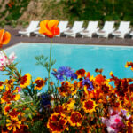 Nuno Graça Moura’s Pool Bar, Lot 157, showcasing a modern outdoor seating area with floral design elements, wildflowers, geraniums, and umbrellas integrated into a garden setting.